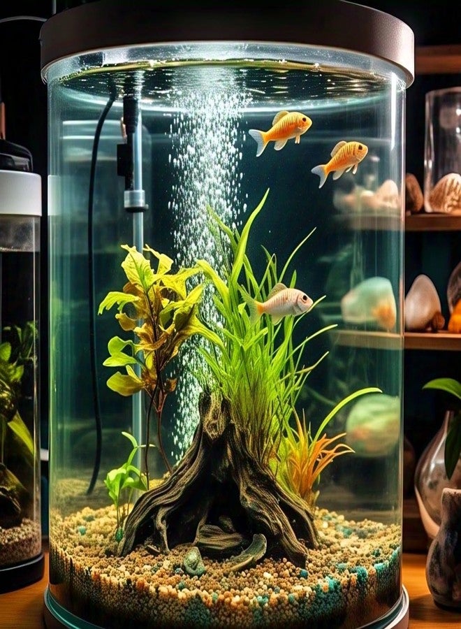 Earth Hopper بذور عشب أحواض السمك الهجينة الصديقة للأسماك من نوع "إيرث هوبر" - 200 بذرة، نمو على مدار السنة، صيانة منخفضة. - Image 3